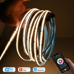 WIFI TUYA COB RGBCCT LED Strip KIT 24V 840 Leds/M Dimmable Indoor Lighting Decoration With Smart RGBCCT Controller LED Driver