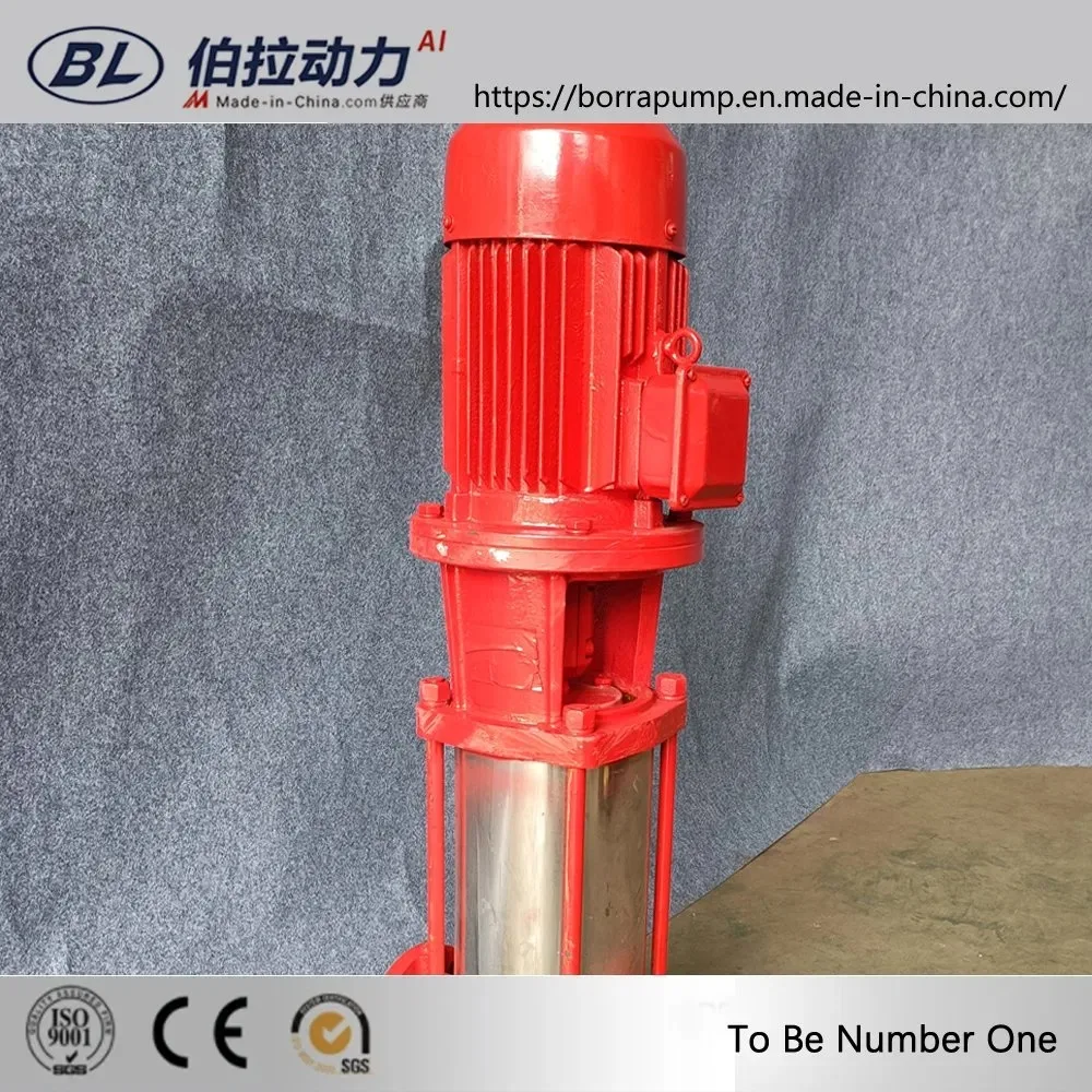 Vertical Multi-Stage High-Pressure Water Pump