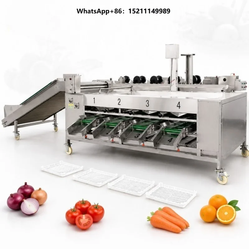 Commercial Chili Green Pepper Roller Sorting Machine Cherry Tomato Grader Machine Lemon Dates Sorting Machine