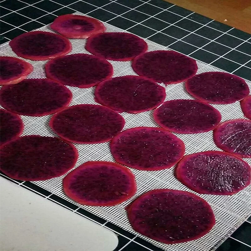 Dehydrator folie für Dörr gerät, 20 Stück 29x37cm, Silikon folien, Fruchtent wässer ungs matten, Silikon entwässerung folien