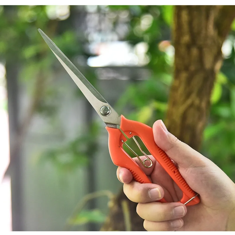 Professional Stainless Steel Garden Pruning Shears Thinning Hand Tools Bonsai Scissors Gardening Tool Fruit Picking Scissors