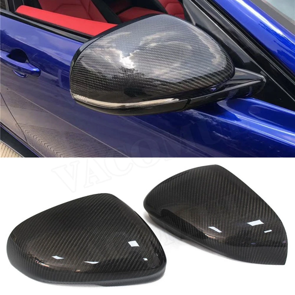 Carbon Fiber Rearvi… - image