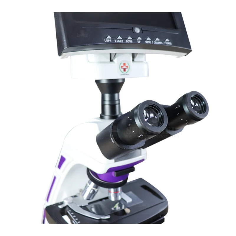 SY-B129T Hot Sale Binocular Medical Digital Biological Microscopes Laboratory Binocular Microscope With Camera