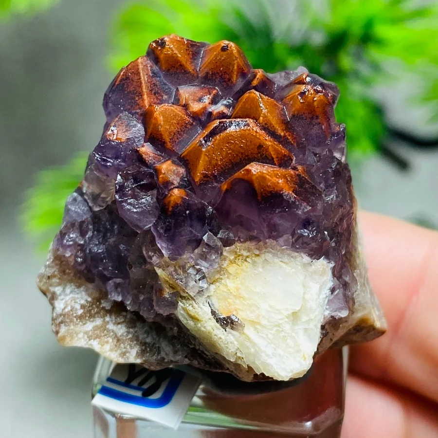 Grappe d'améthyste naturelle en forme de fleur de gomme rouge, spécimen minéral, pierre énergétique, cristal de guérison pour la décoration intérieure