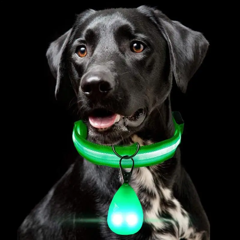 LED Dog Collar Light USB Night Dog Walking Flash Pet Supplies For Night Walking 4 Colors To Choose Blue Red Green Purple