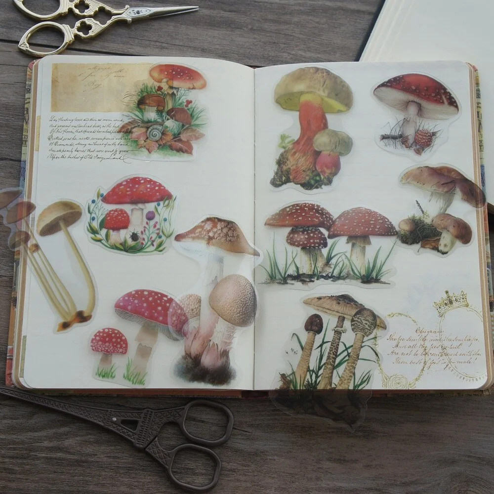 40pcs Colorful Natural Wild Mushroom Style Transparent Sticker Scrapbooking DIY Gift Packing Label Gift Decoration Tag