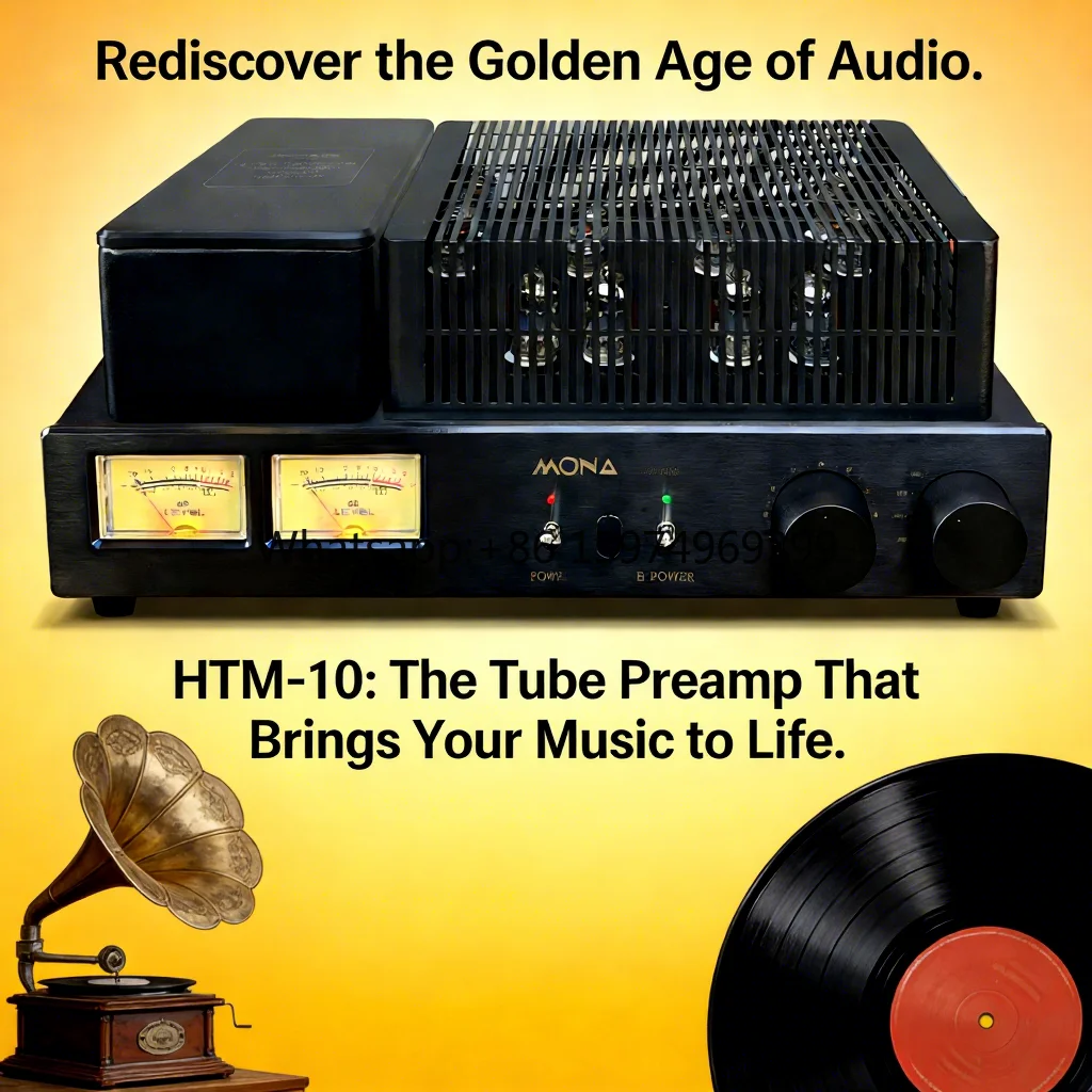 Mona New Upgraded HTM-10 Tube Pre Amplifier Bile Gall Bladder Receiver & Pure Power Amplifier Connected