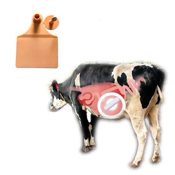 

New Cattle Ear Tags Tags put in Cattle Rumen for Heat Detection Calving Alert Early Disease Monitoring Animal Id Herd Well-being