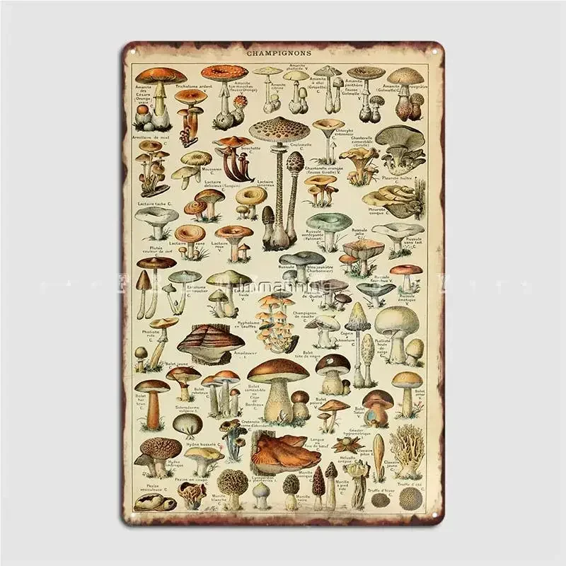 Vintage Mushroom Metal Sign Pub Living Room Printing Plates Tin Sign Poster