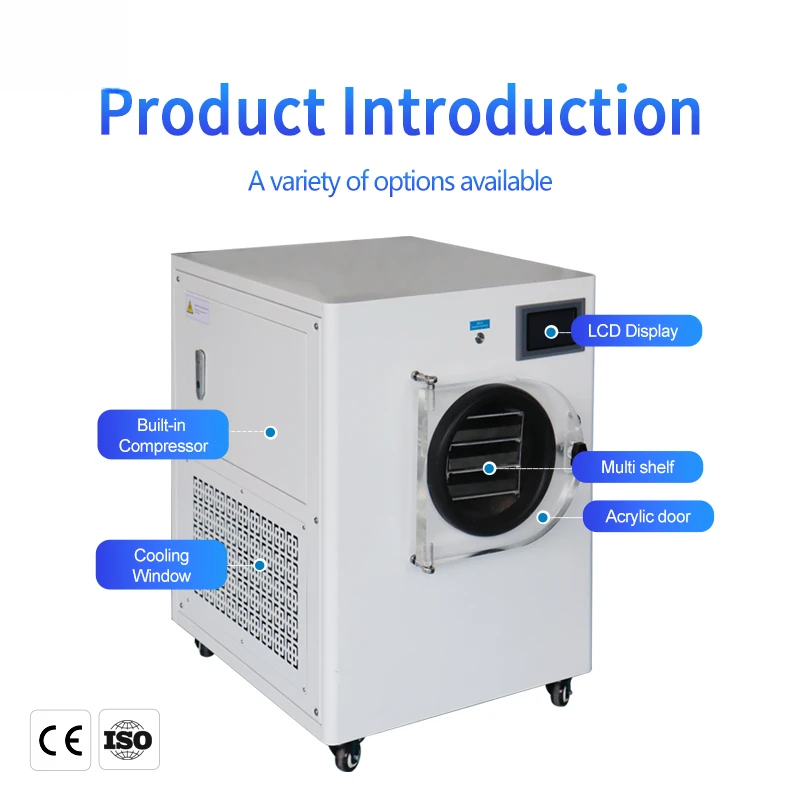 Warehouse Stock Vegetable Manufacturer 1Kg 4Kg 6Kg 15Kg Mini Fruit Freeze Dryer
