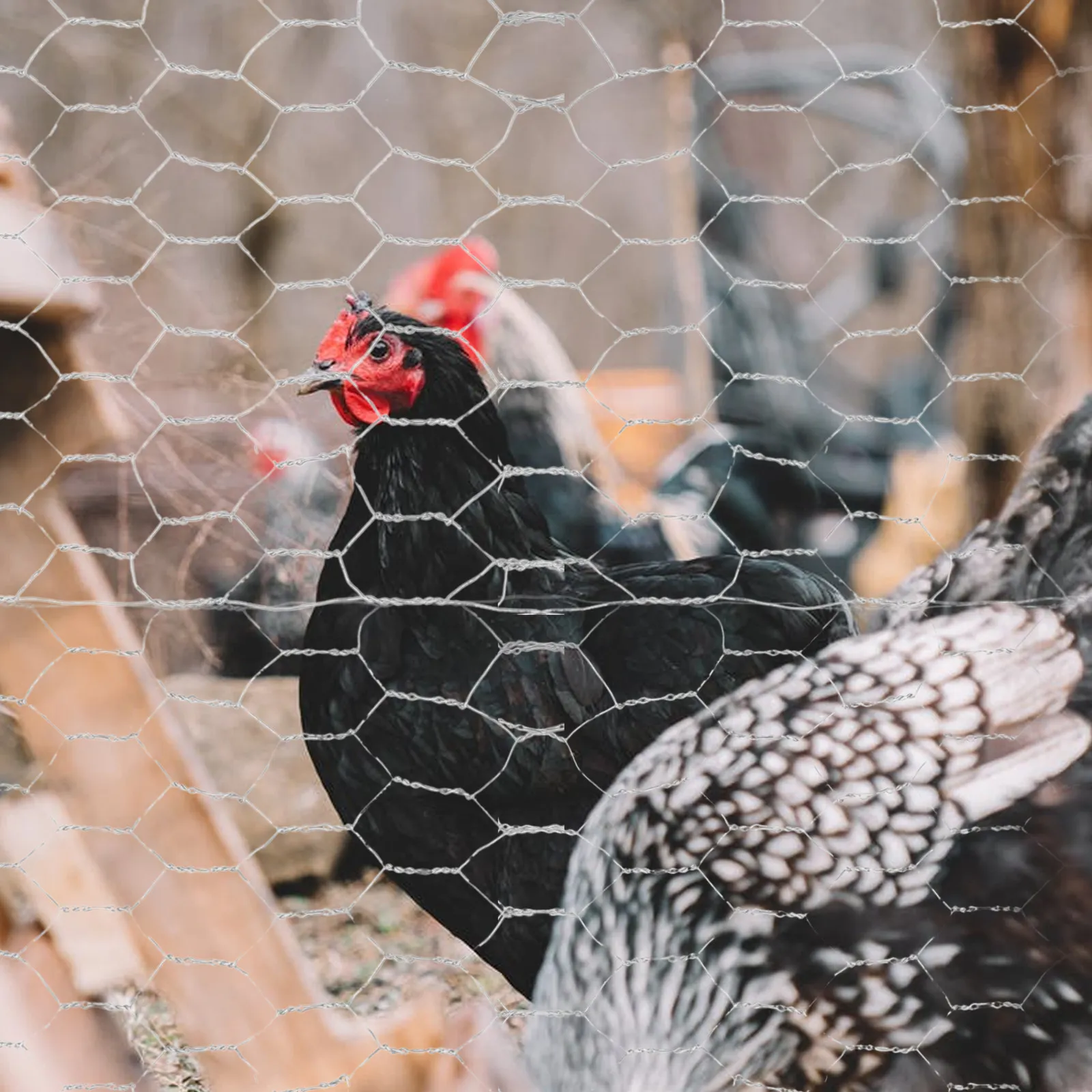 1Pcs Premium Galvanized Iron Wire Mesh Hexagonal Chicken Wire Net for Poultry Farming Livestock Enclosure Garden Raised Beds