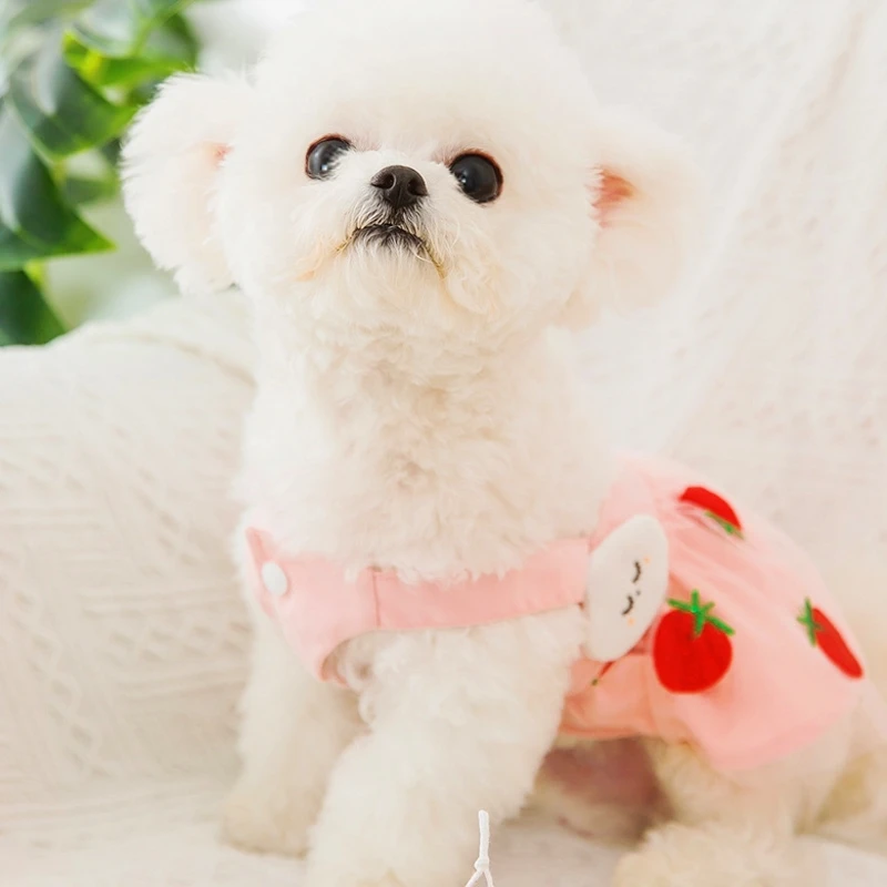 Sommer-Erdbeerkleid für Hunde, Haustierkleidung, Hosenträgerrock für Hunde, Hundekleidung, Katzen, Welpen, Aufdruck, niedlicher Hund, Netzkleid, Heimtierbedarf – Detail 17