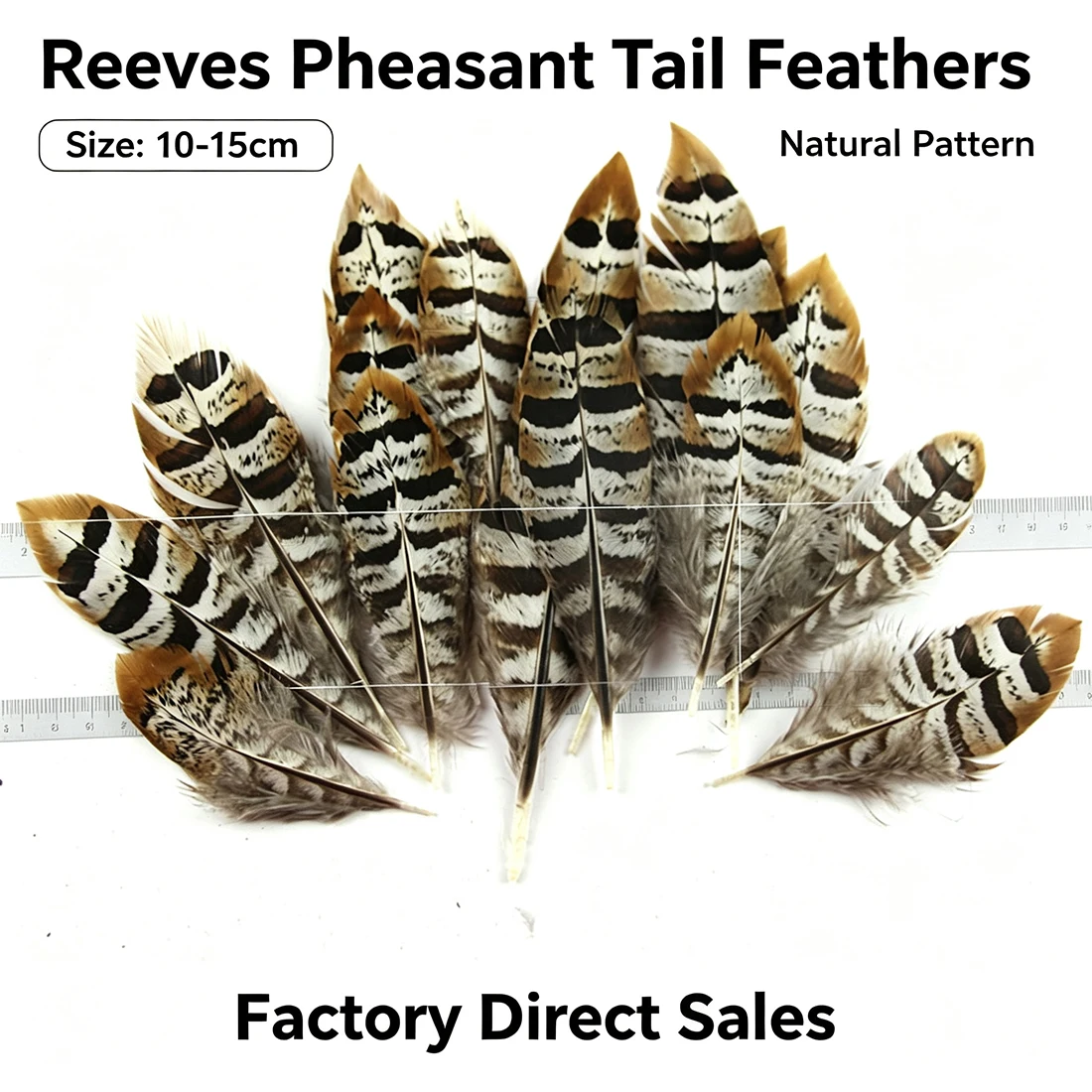 ZPDECOR Feathers Reeves Pheasant Feathers Size 10-15cm/4-6 Inch for Crafts DIY Art Home Decor