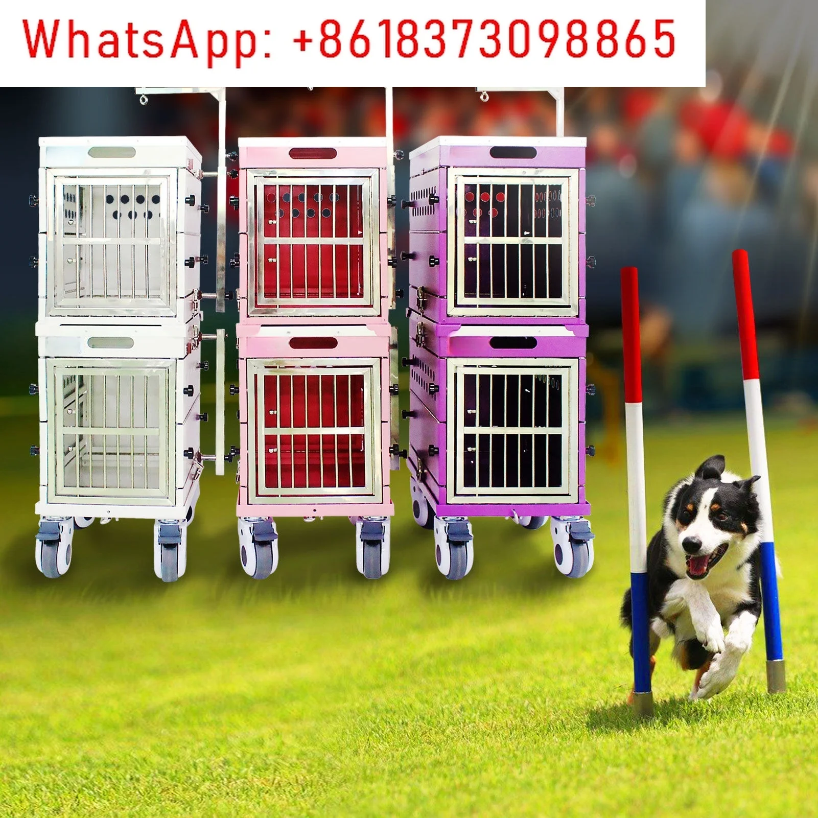 1PCS folding aluminum four-wheeled dog display cage, two-bed double-layer stackable beauty table, portable