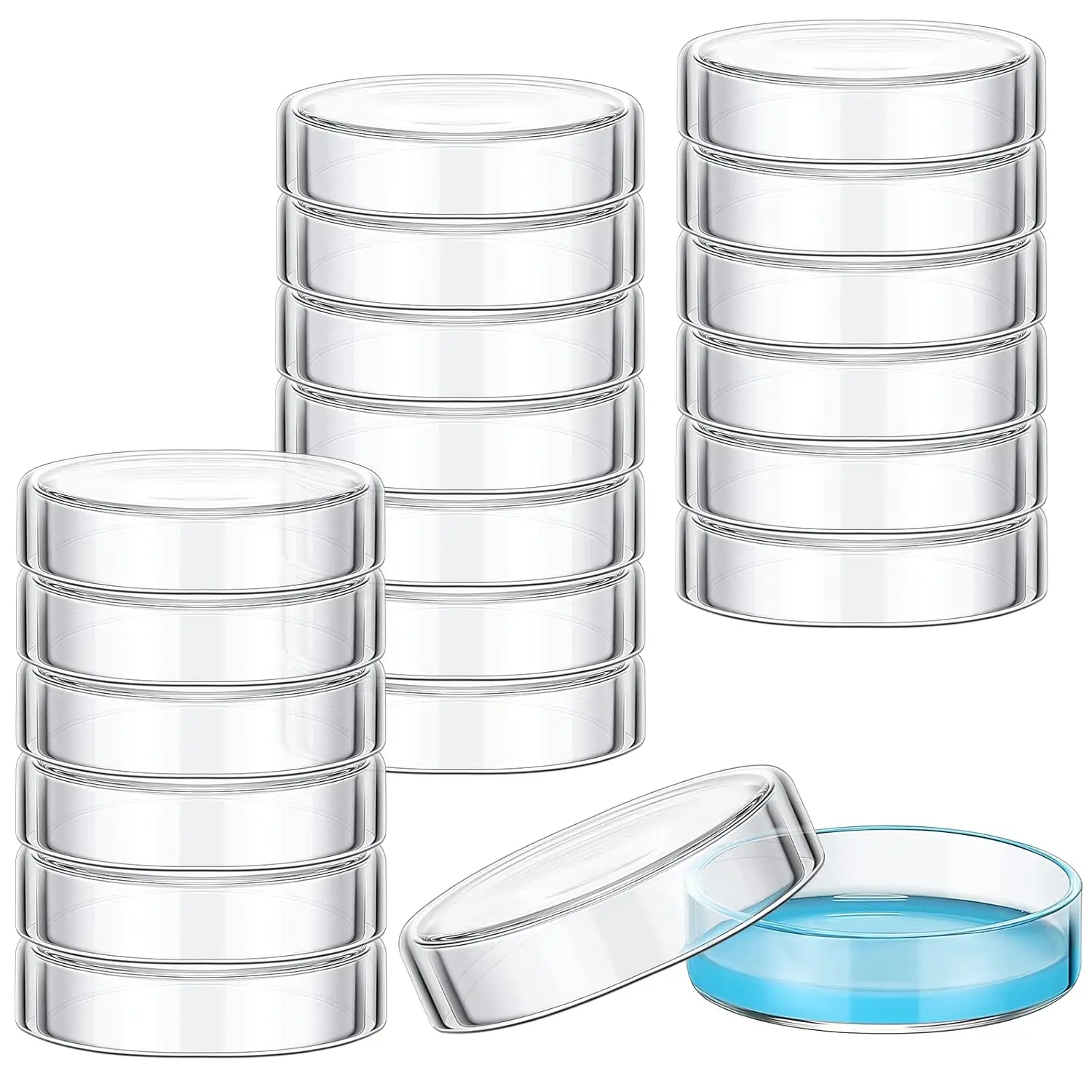 20 Pcs 60mm Glass Petri Dishes with Lids Bulk Autoclavable and Reusable Culture Dishes for Culture Plate Science Project