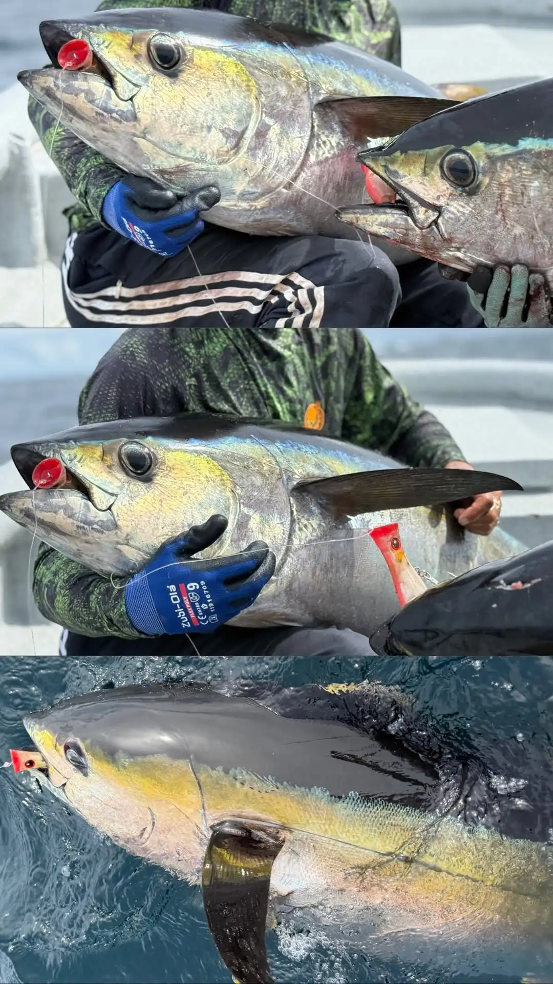 NOEBY Blooper Popper Köder 120mm 43g 160mm 78g 200mm 150g Oberflächenköder Salzwasser-Hardbait GT Angeln – Detail 1