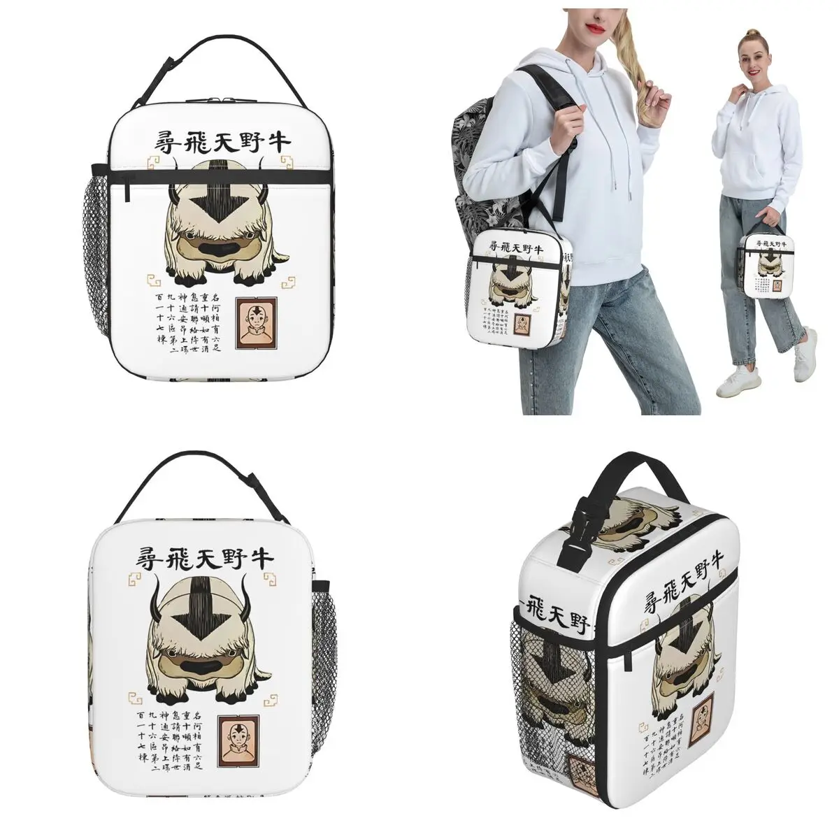 Appa Avatar The Last Airbender Isolados Térmicos Lunch Bags para Trabalho, Recipiente De Alimento Portátil, Caixa Térmica Do Refrigerador