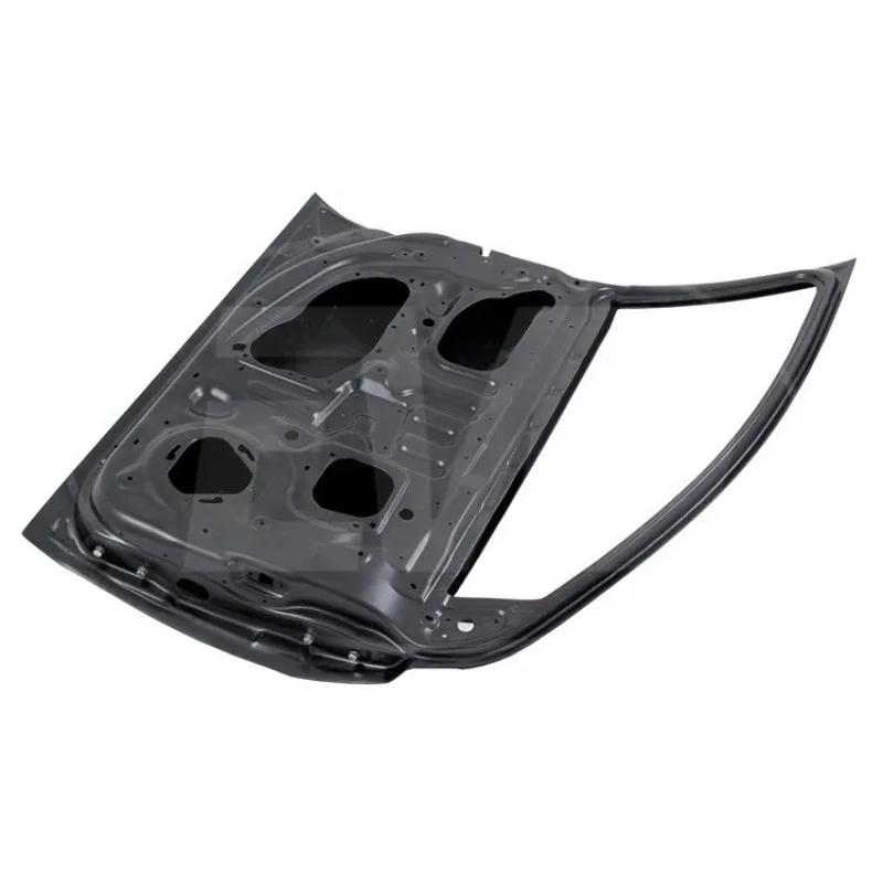 Carbon Fiber Front Door (2 PCS) 2008-2015  EVO 10