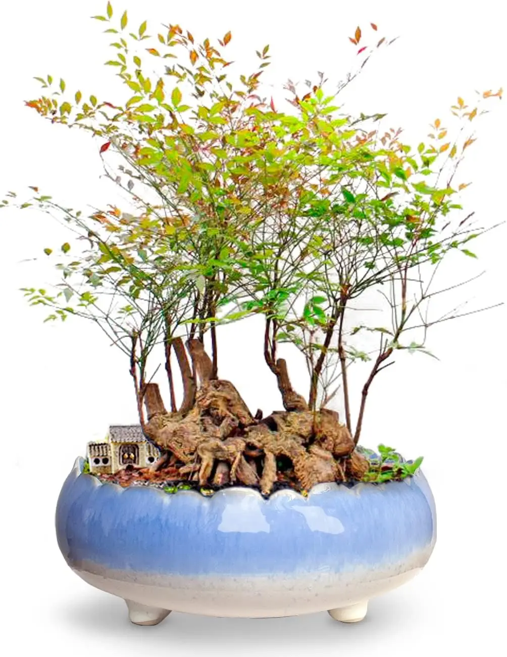 

8.3'' Inch Large/Shallow/Wide Drip Glazed Ceramic Planter/Succulent Pot/Plant Pot, Blue