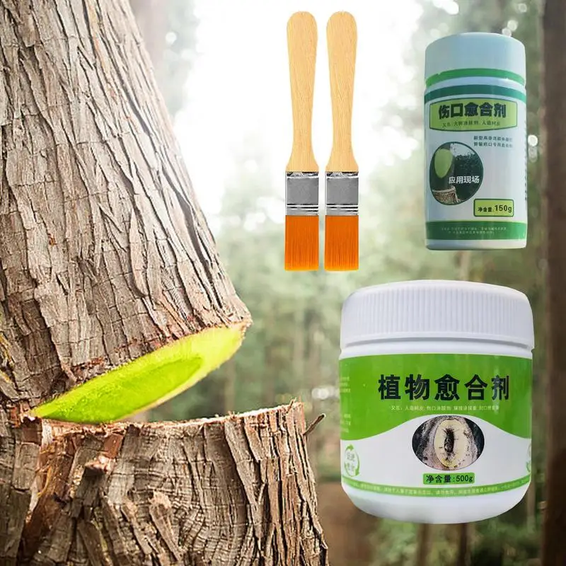 

Tree Grafting Paste Tree Wound Bonsai Cut Paste Smear Agent Plant Grafting Pruning Sealer With Brush Bonsai Cut Wound Paste Tree