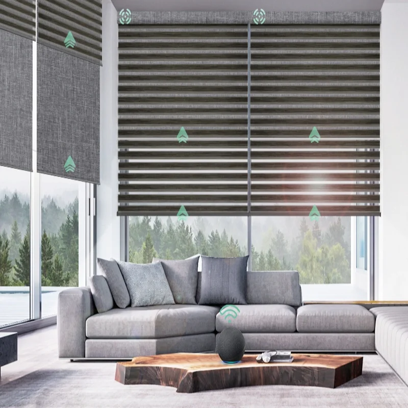 Custom-made Shades Various Dual Fabric Connect Home Assistant App Wifi Control Motorized Double Zebra Roller Blinds For Windows