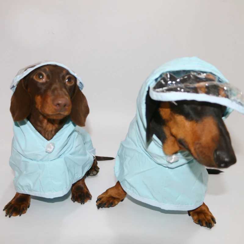 capa-de-chuva-azul-com-chapeu-para-caes-dachshund-jaqueta-impermeavel-a-prova-de-vento-para-caes-dachshund-roupas-ajustaveis-para-caes-de-texugo