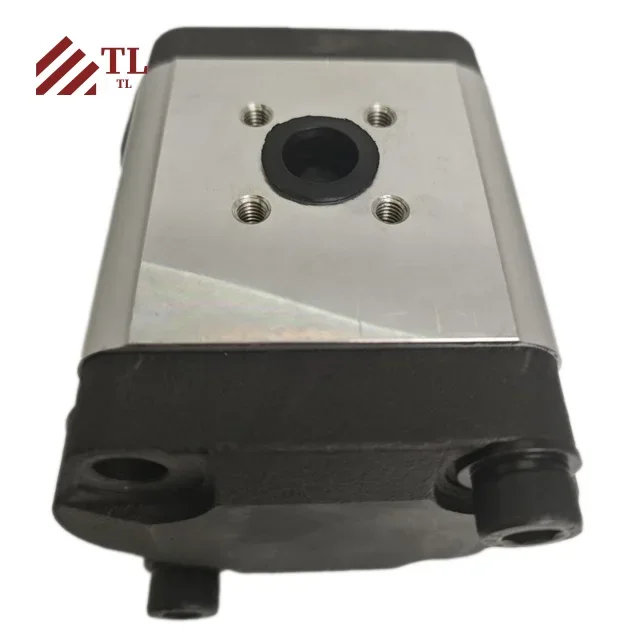 

0510.515.302 B0 SCH PUMP HYDRAULIC GEAR PUMP Construction Machinery Parts