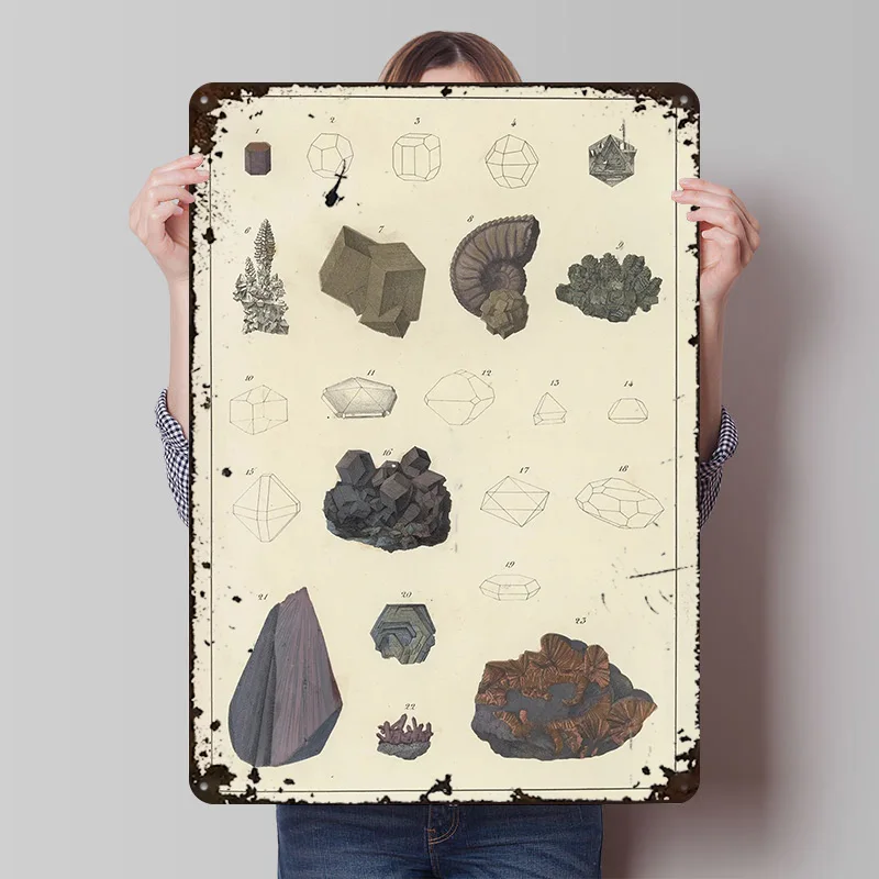 Vintage Mineral and Fossil Printed Poster Customized Retro Wall Art Vintage Metal Tin Signs for Setup Decorations Office Decor