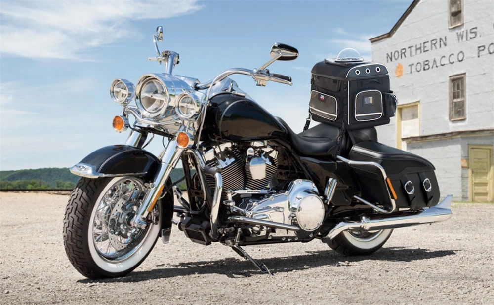 Motorrad-Haustiertaschen Hunde- und Katzen-Transporttasche für Street Glide Road King mit Beifahrersitz oder Gepäckträger Touring Trike Modelle – Detail 1