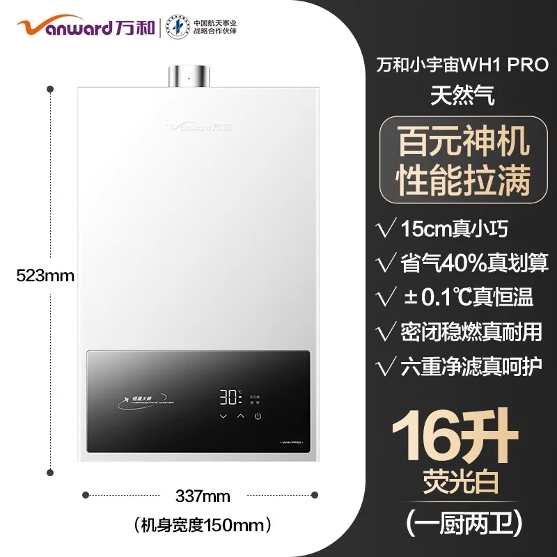 Natural Gas 4A Grade Gas Water Heater Inverter Constant Temperature