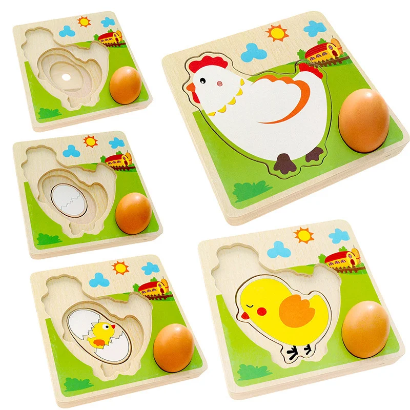 Wood 3D Puzzle Chick Grow Hens Laying Eggs Process Jigsaw Learning Education Montessori Toys