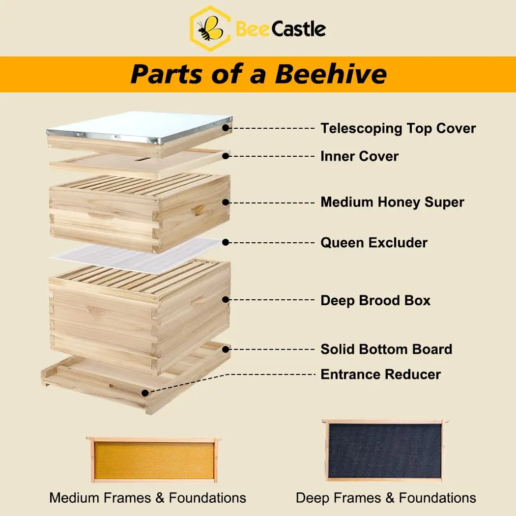 10 Frame Langstroth Bee Hive, Beehive Starter Kit for Beginners with Beehive Frames and Waxed Foundation 1 Deep Box & 1 Medium