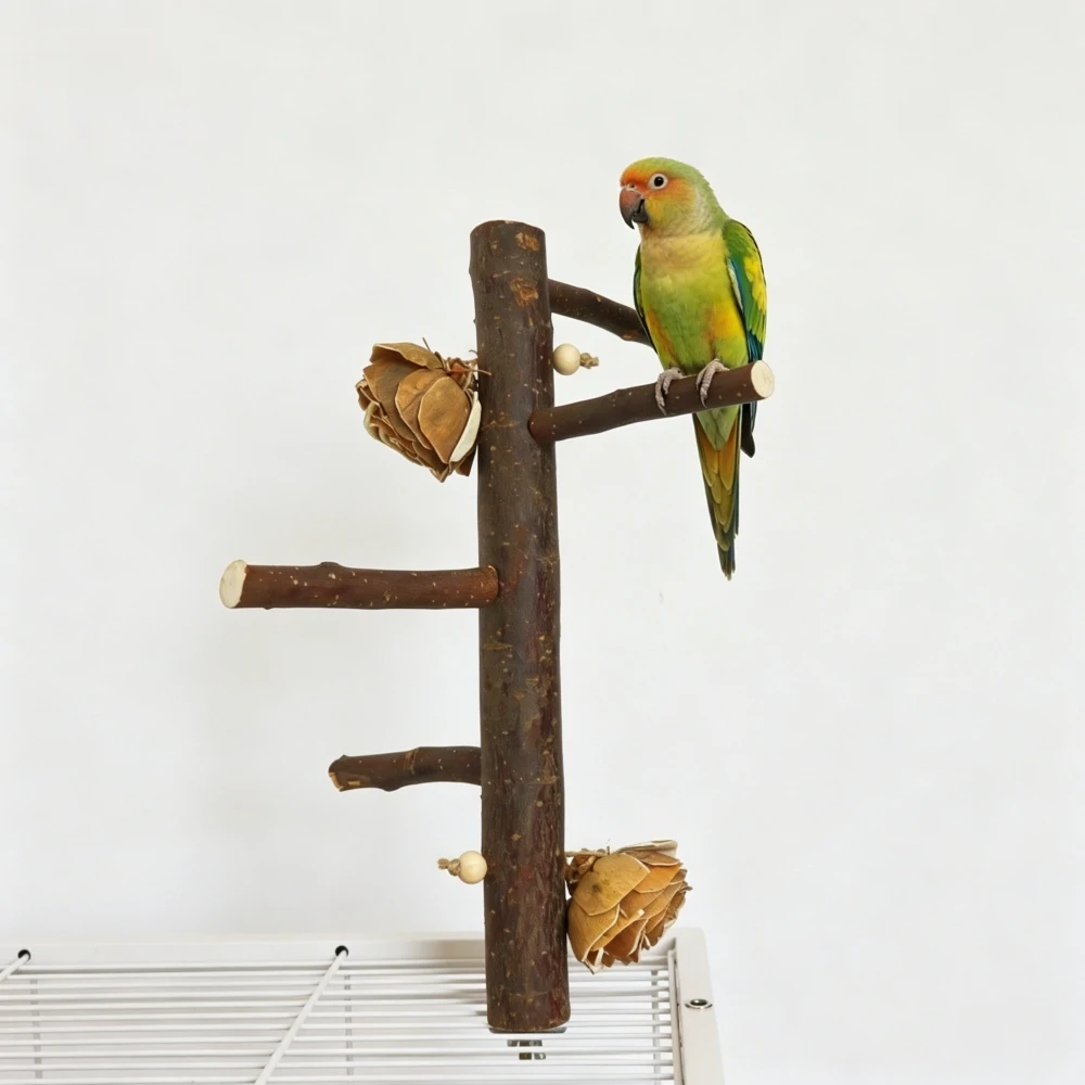 Thumbnail 2 - #26 Bird Perch Stands Comparison Guide