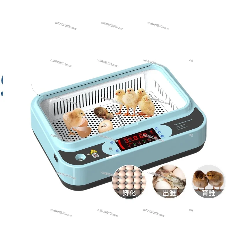 

Incubator Rutin Chicken Incubator Small Household Automatic Intelligent Chicken Duck Goose Egg Egg Incubator