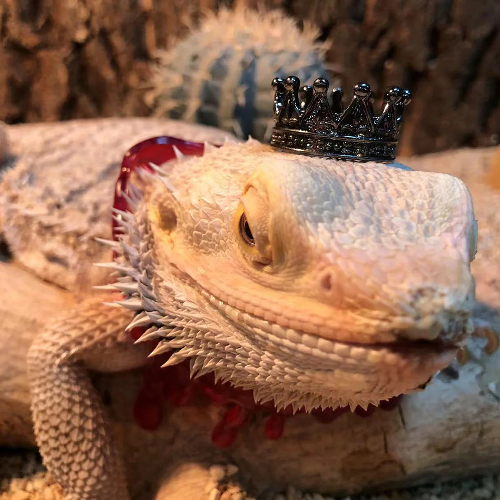 

1Set Reptile Crowns Hat Necklace Lizard Halloween Costume Small Pet Supply Cosplay Party Decor Lizard Hat Small Pet Supply