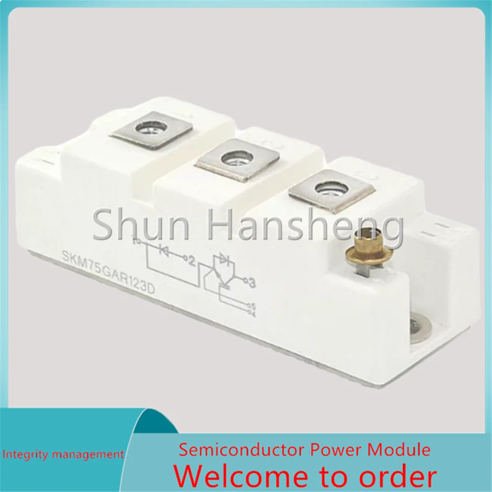 SKM100GAR12E4 SKM100GAR125D SKM100GAR176D Module SKM100GAR128DN SKM100GAR124DN SKM100GAR126DN SKM145GAR123D SKM145GAR124D