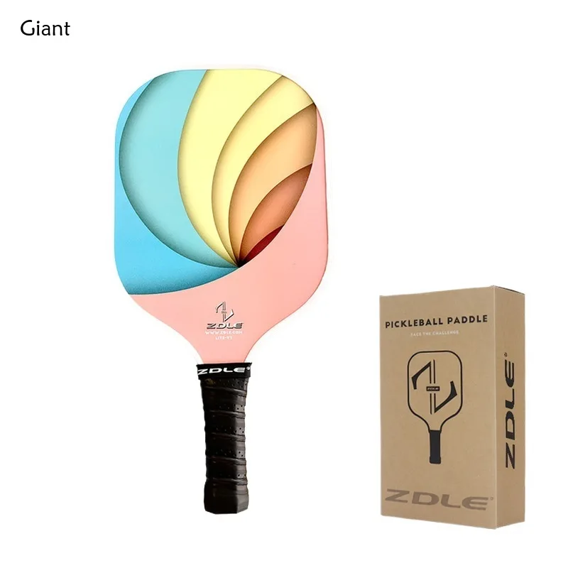 Brand Good Quality Fiberglass Pickleball Single Paddle / Set Indoor and Outdoor Students Beginner Level Padelracket Rachetta