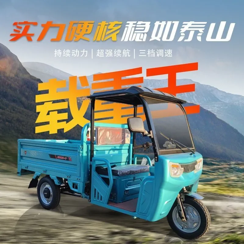 Electric Tricycle for Household Agricultural Use Simple Shed High-Power Truck for Climbing Express Delivery Heavy-Duty Oil