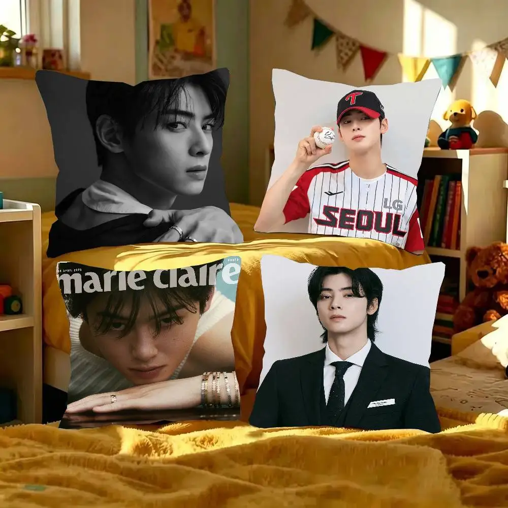 Cha E-EunWoo Pillow Case Fashion Square Pillowcase Bedroom Sofa Room Ins Decoration Leisure