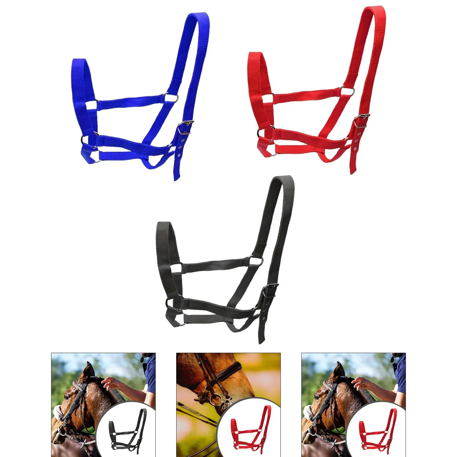 Strong PP Webbing Horse Halter Adjustable Padded Training Rope Harness Tack for Horse Riding and Groundwork