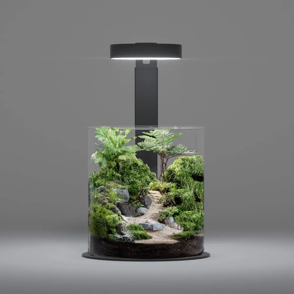 

Terrarium Glass Jar Kit – DIY Mini Landscape Set with Ultra-Clear Glass Container, LED Light, Decorative Stones & Planting Tools