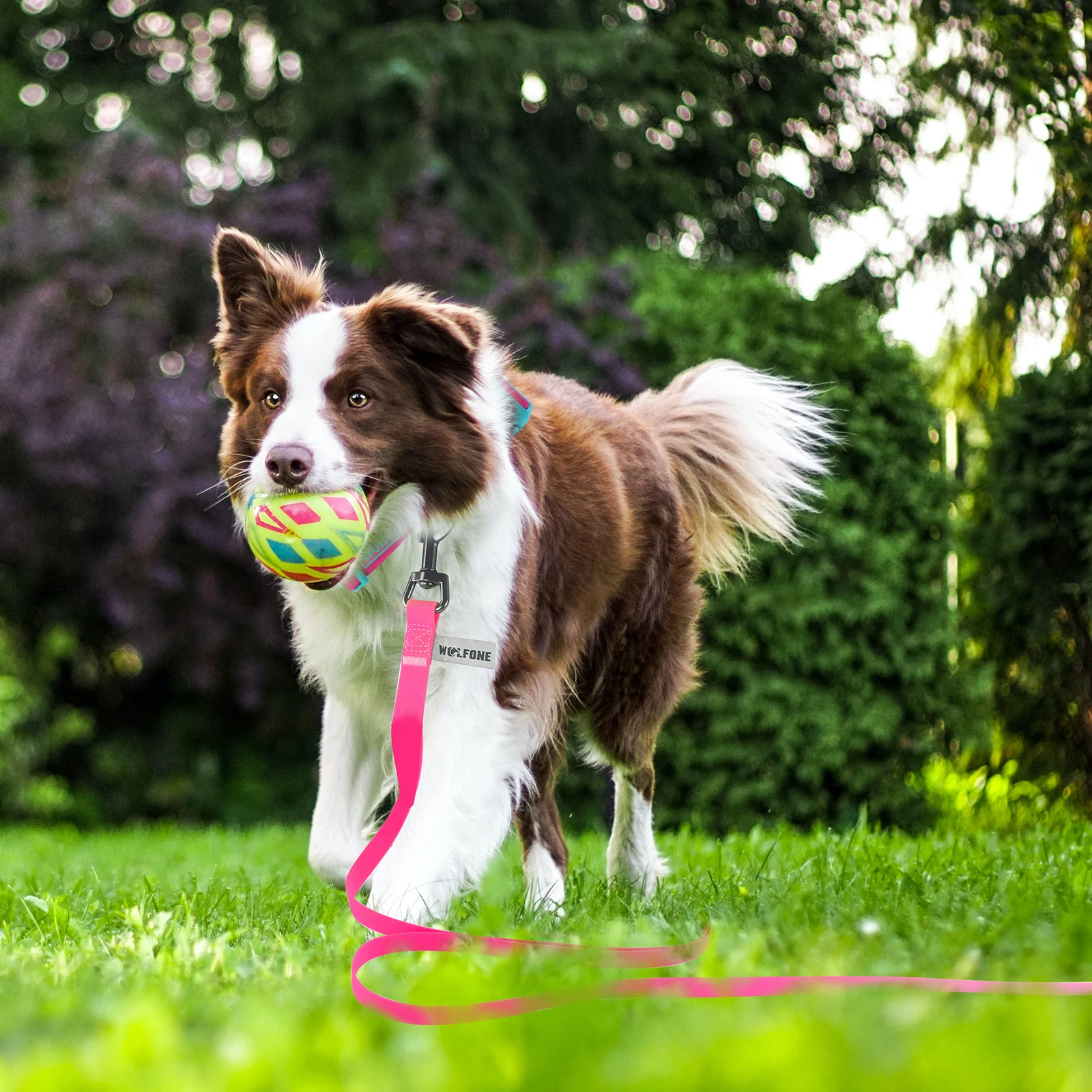 PVC Lange Hundeleine 1,5m 3m 6m Robustes Trainingsseil für Kleine und Große Hunde Langlebig, Wasserdicht Hundezubehör – Detail 7