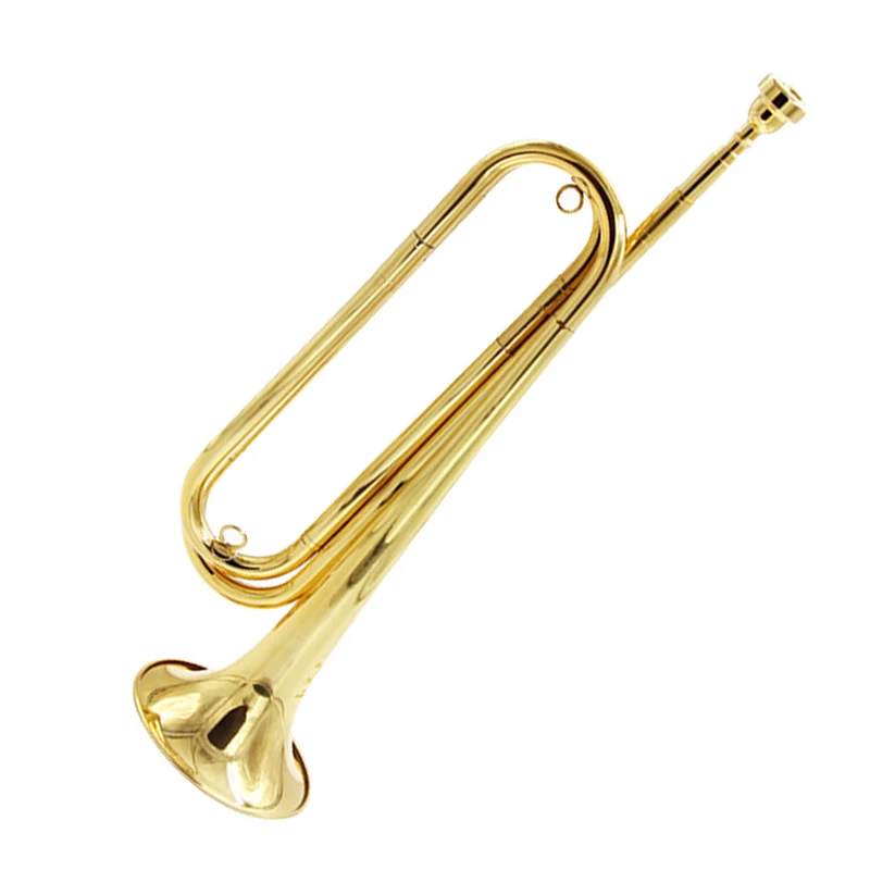 Bb Tuba Professional Band Performance Tuba Adults Beginners Practice Tubas Lacquer Gold Modulation Brass Instruments with Bag