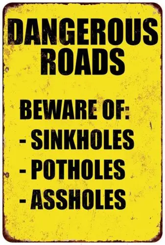 Dangerous Roads Beware of Sinkholes Potholes & A-holes metal sign 8 x 12