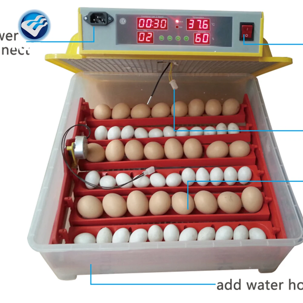 Incubator Hatcher-55 Digital Clear Egg Turning Incubator Hatcher Automatic Temperature Control Energy-saving Egg Incubator