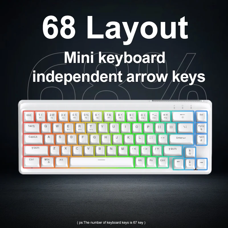 FREEWOLF M68SE Mini Keyboard Kabel RGB Backlit Tipe-C Kompak untuk Game dan Kantor, Layout 68% Ergonomis, Keyboard Portabel, Aksesoris PC