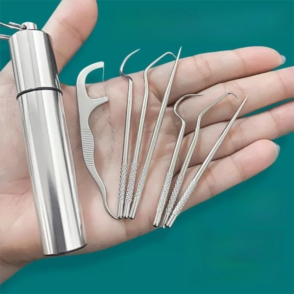 

7pcs/set Reusable Stainless Steel Toothpick Set Keychain Design with Toothpick Holder Tartar Removal Tool Oral Clean