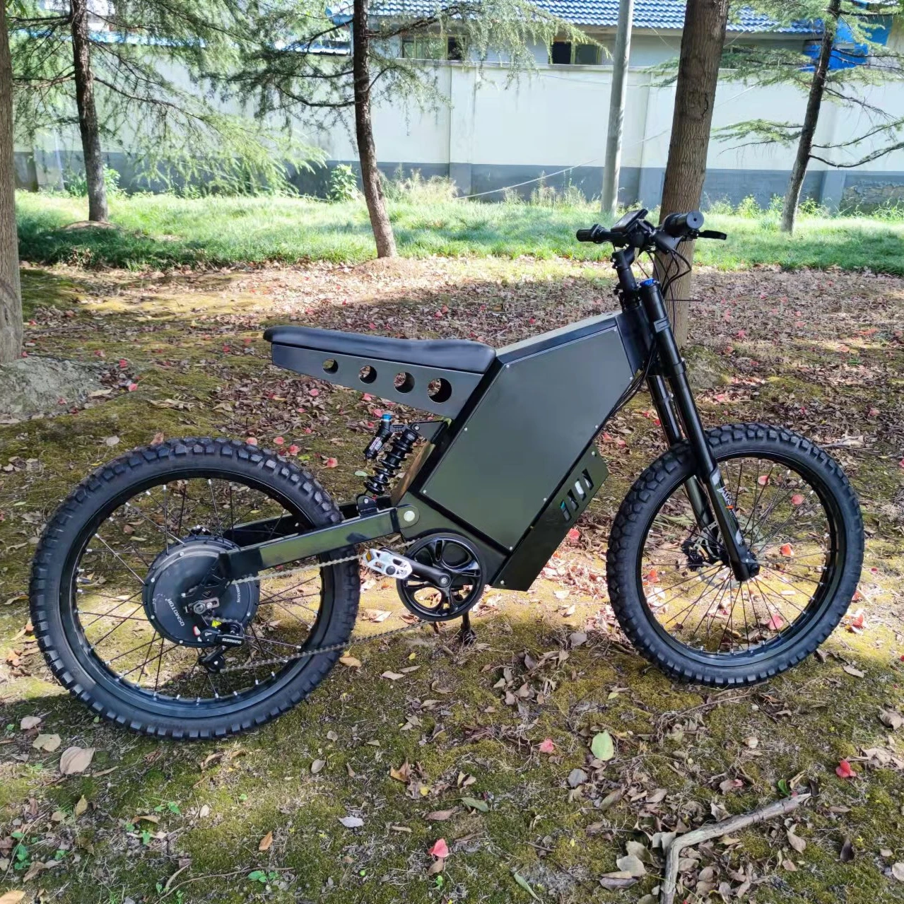 

2021 Newest Electric Dirt Bike Full Suspension E- Bike 10000w Bomber Enduro Ebike Electric Motorcycle