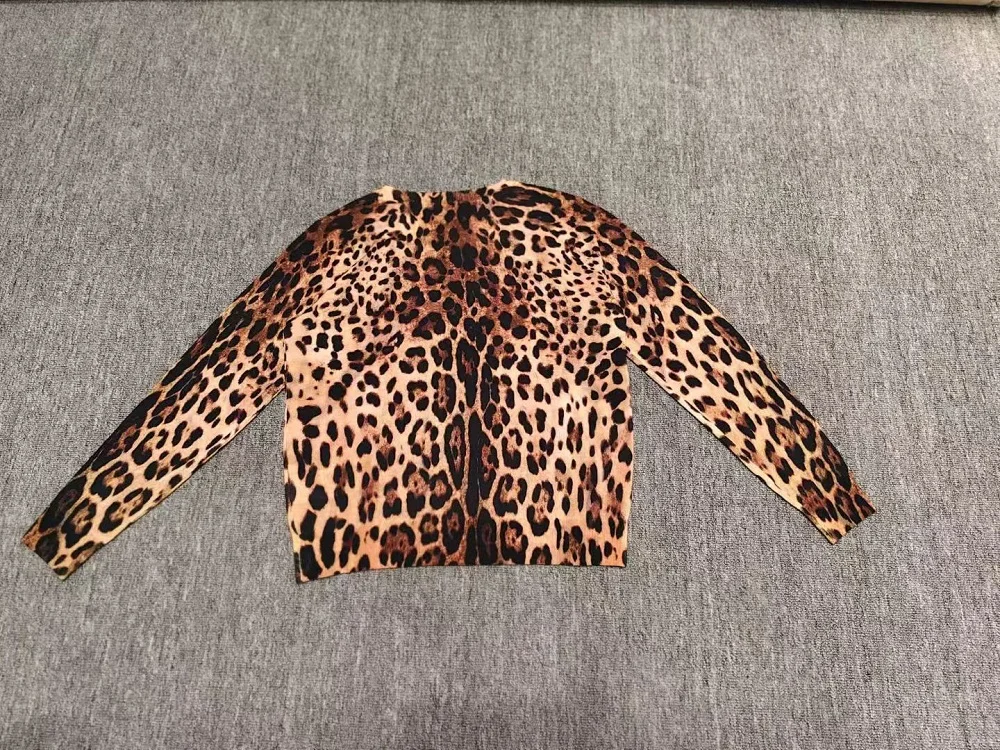 High Quality New Sweaters 2026 Autumn Pullovers Women Sexy Wild Leopard Print Knitting Long Sleeve Casual Soft Wool Knit Jumpers