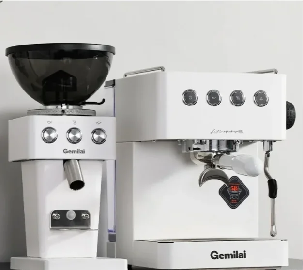 

220V Gemini Home Coffee Machine Semi Automatic Office Small Italian Concentrated Steam AM